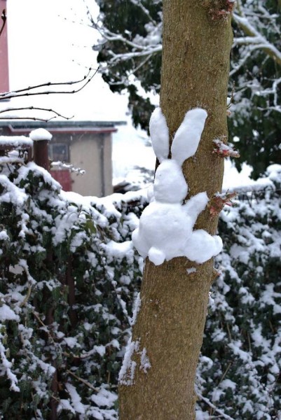 zajączek śnieżny Wielkanoc 2013 od Olgi 4