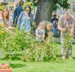 Boże Ciało procesja Tuchola 26.05.2016-53