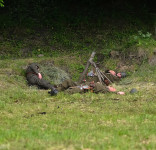 Piknik historyczny Kęsowo 10.06.2017-47