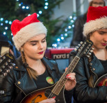 Nim wzejdzie gwiazda Campanella 21.12.2019 Cekcyn-6