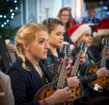 Nim wzejdzie gwiazda Campanella 21.12.2019 Cekcyn-61