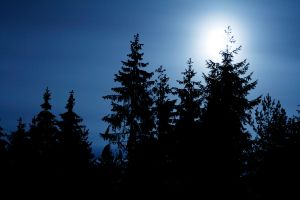 Nocne poszukiwania zaginionej