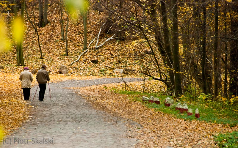 Nordic walking dla seniorów