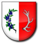 23. sesja Rady Gminy Śliwice