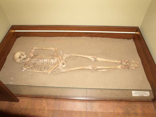 Wystawa archeologiczna w Domu Kultury w Raciążu