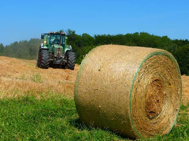 700 tysięcy na kształcenie rolnicze