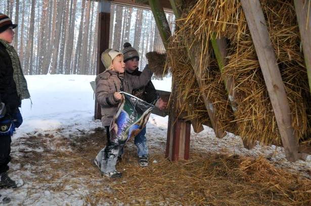 Na pomoc zwierzętom…