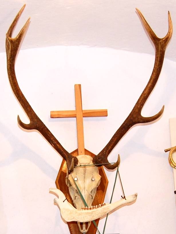Przyjdź, obejrzyj trofea łowieckie