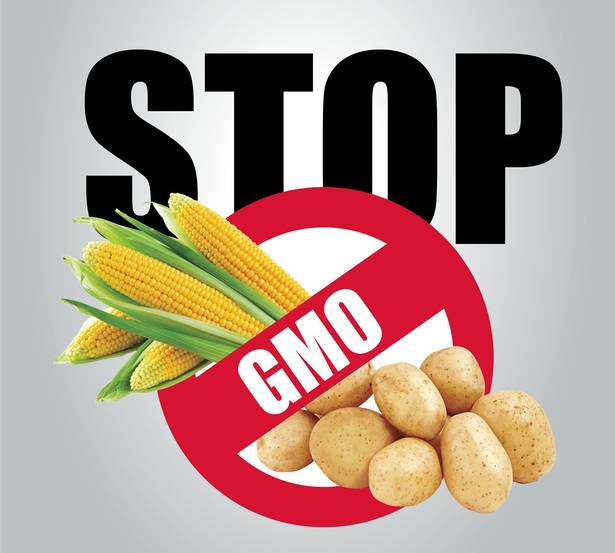 Polska wolna od upraw GMO