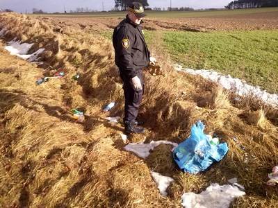 Dzikie wysypiska – czy to już plaga?