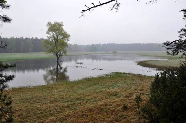 Podtopienie w Leśnictwie Zielonka