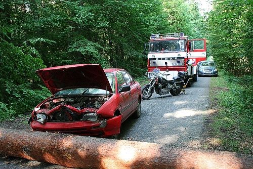Samochód najechał na przewrócone drzewo