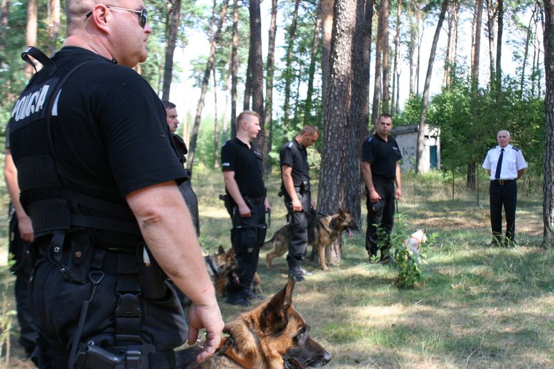 Najlepszy był Eblo z Tucholi