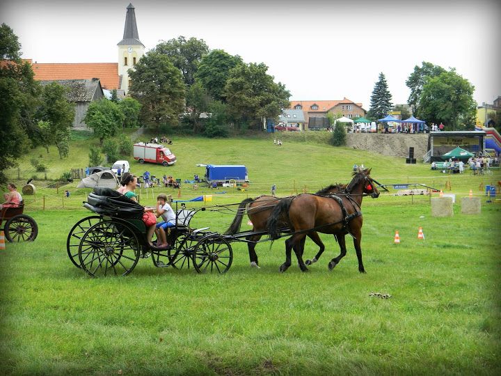 V Piknik pn. „Postaw na dobrego konia”