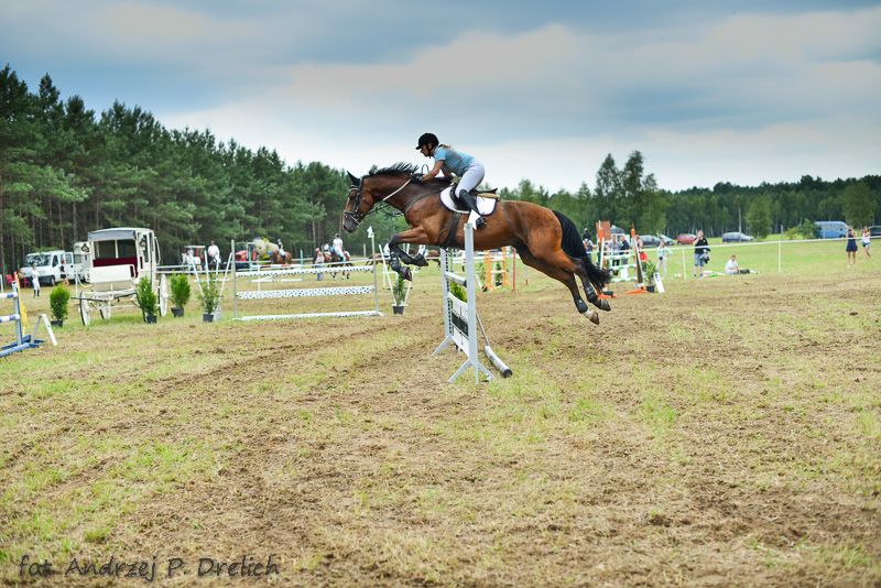 Wymysłowo Cup 2013 (ZDJĘCIA)