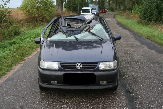 Konar spadł na samochód