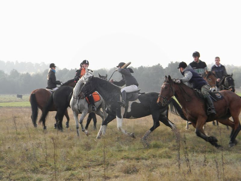 Hubertusy Śliwickie 2013