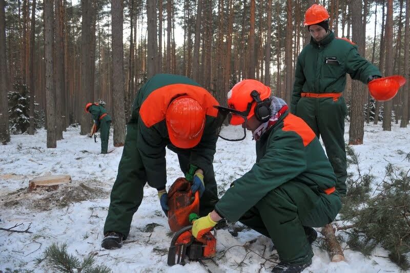Uczniowie Technikum Leśnego z Tucholi na praktykach