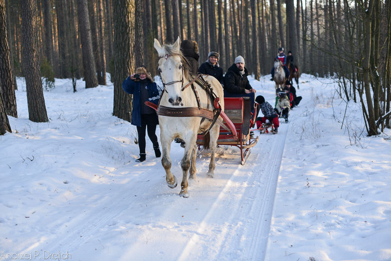Kulig w Wymysłowie