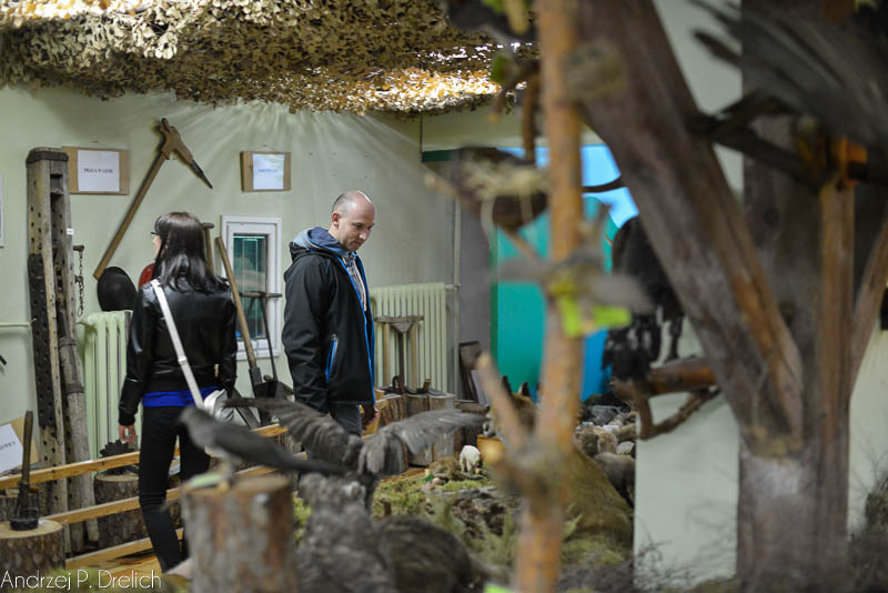Muzeum wieczorową porą (ZDJĘCIA) AKTUALIZACJA