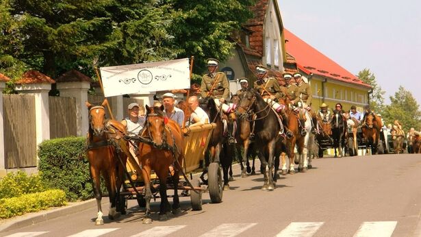 VI Piknik Koniarzy w Śliwciach