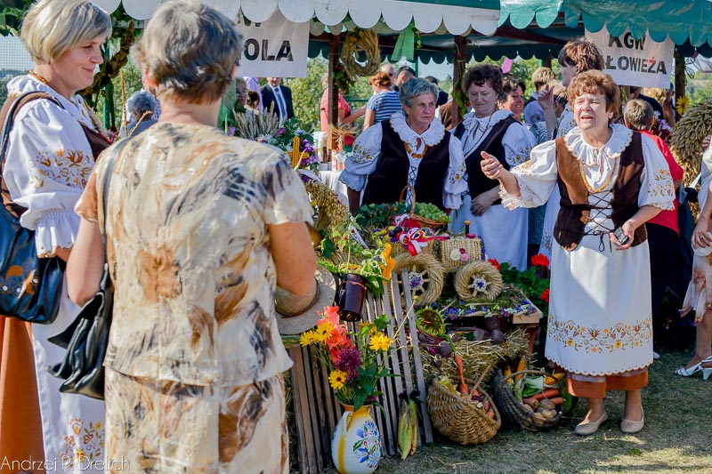 Dożynki gminy Tuchola