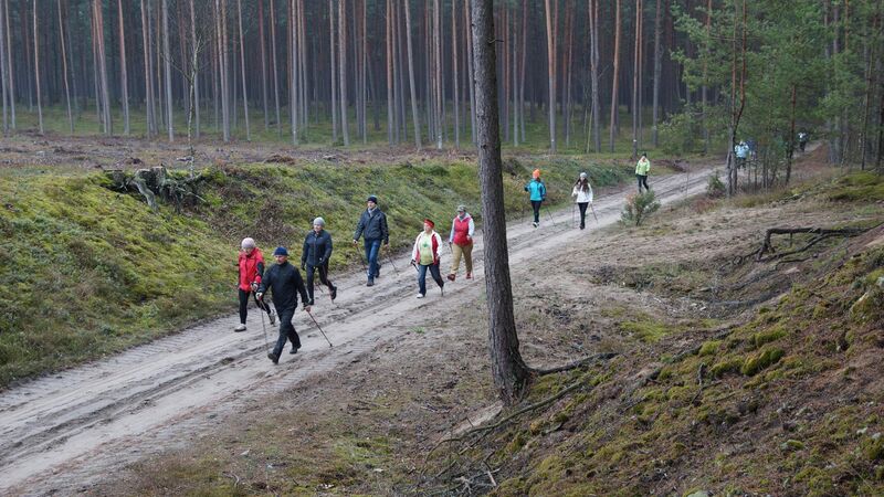 VI Rajd Nordic Walking „W poszukiwaniu wiosny”