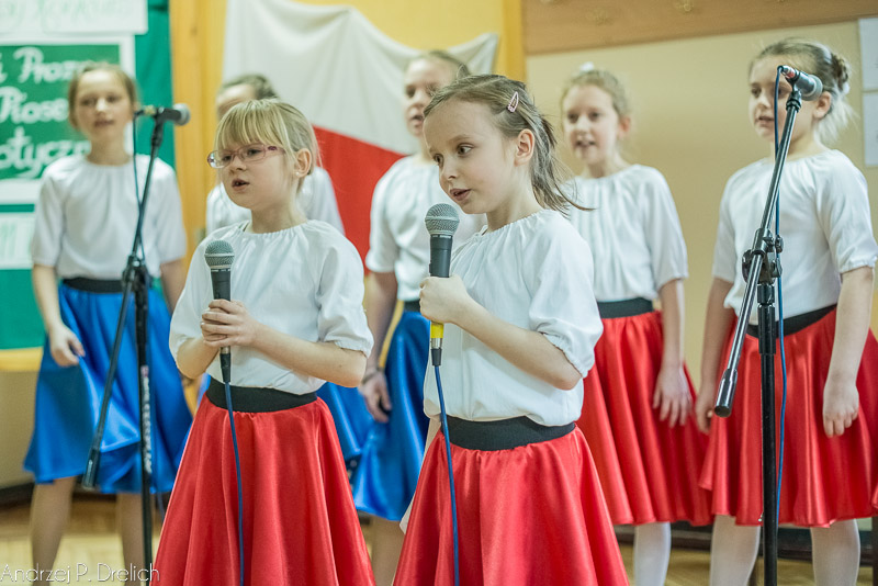 Powiatowy Konkurs Poezji i Prozy, Pieśni i Piosenki Patriotycznej (ZDJĘCIA)