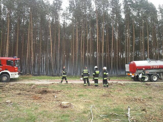 Palił się las w okolicy Piły (ZDJĘCIA)
