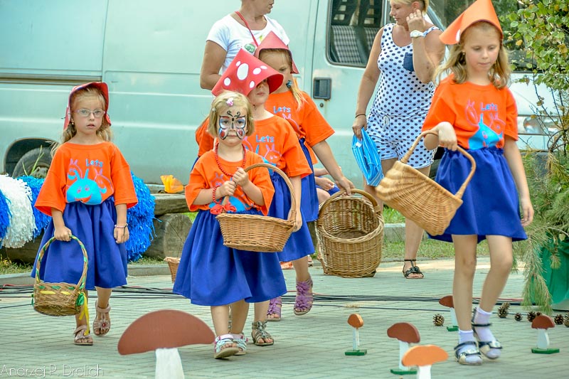Święto w Wiosce Grzybowej
