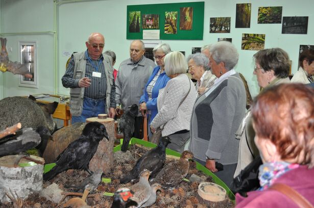 Seniorzy Seniorom w Muzeum Borów Tucholskich
