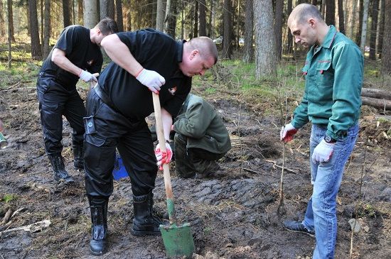 Akcja „1000 drzew na minutę” (ZDJĘCIA)