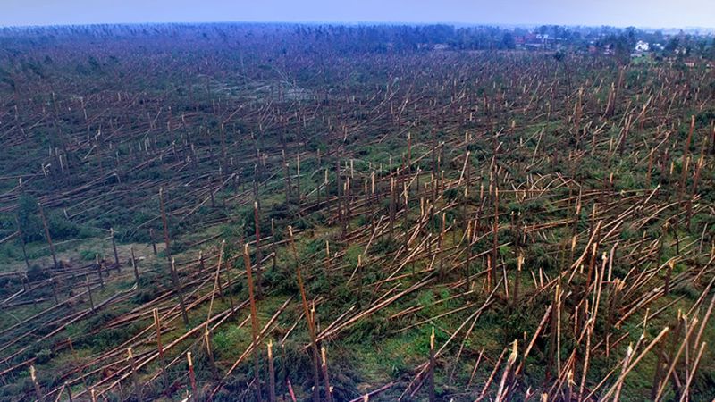 Spotkanie organizacyjne w sprawie gospodarki leśnej w lasach prywatnych