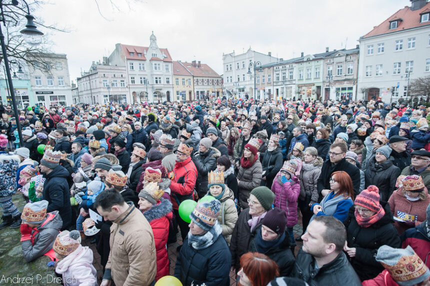 ZAGŁOSUJ – być może w Tucholi pojawi się wielbłąd