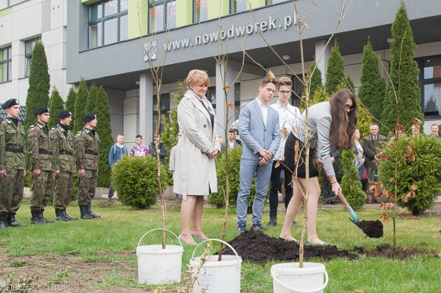 Dęby Niepodległości (ZDJĘCIA)