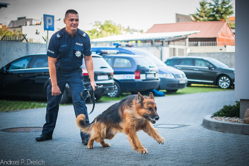 Mistrzowie pochodzą z Tucholi (ZDJĘCIA)