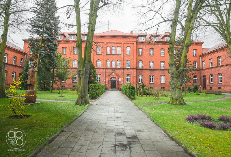 Technikum Leśne zaprasza