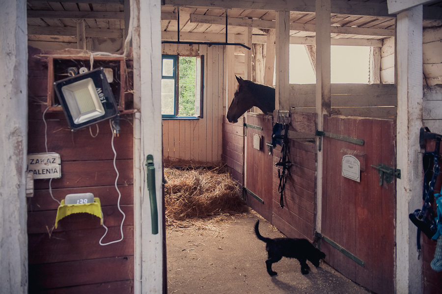 Dzieje się w sprawie kalendarza! (ZDJĘCIA)