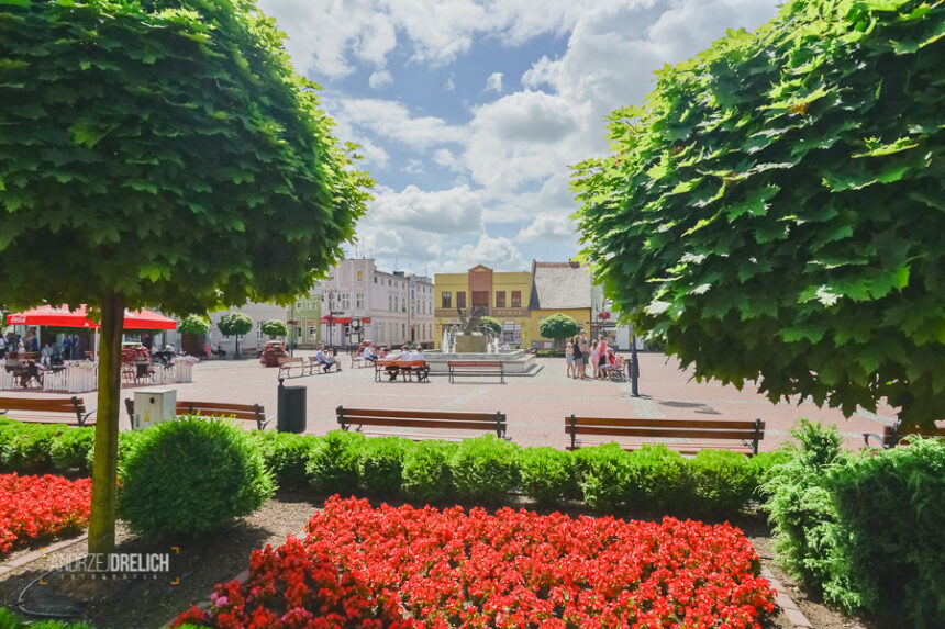 Tuchola miejscem badań uczelni z Krakowa