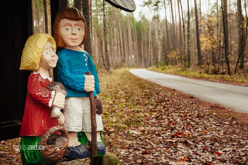 Drzwi Otwarte w Nadleśnictwie Woziwoda