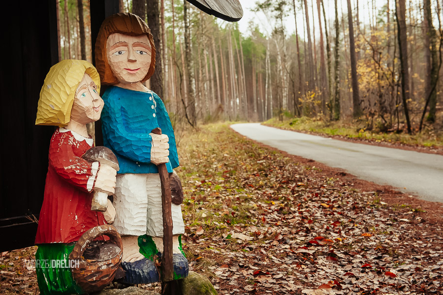 Drzwi Otwarte w Nadleśnictwie Woziwoda