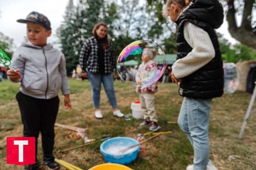 Kamienica gościła dożynki gminy Gostycyn (ZDJĘCIA)