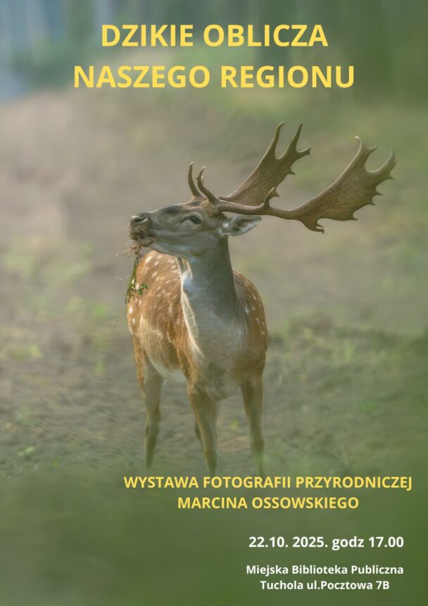 Dzika przyroda Borów na fotografii