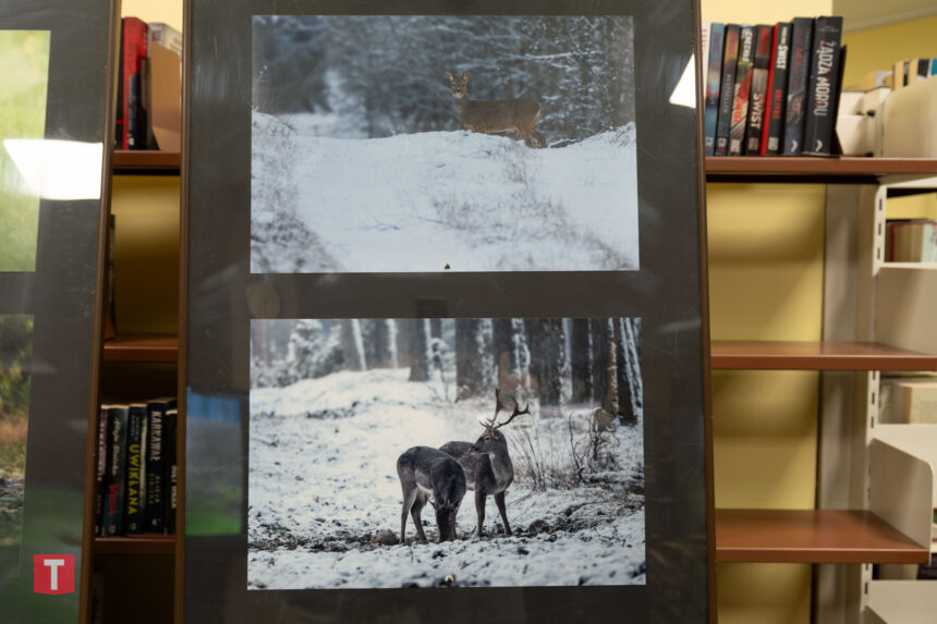 Pierwsza autorska wystawa Marcina Ossowskiego (ZDJĘCIA)