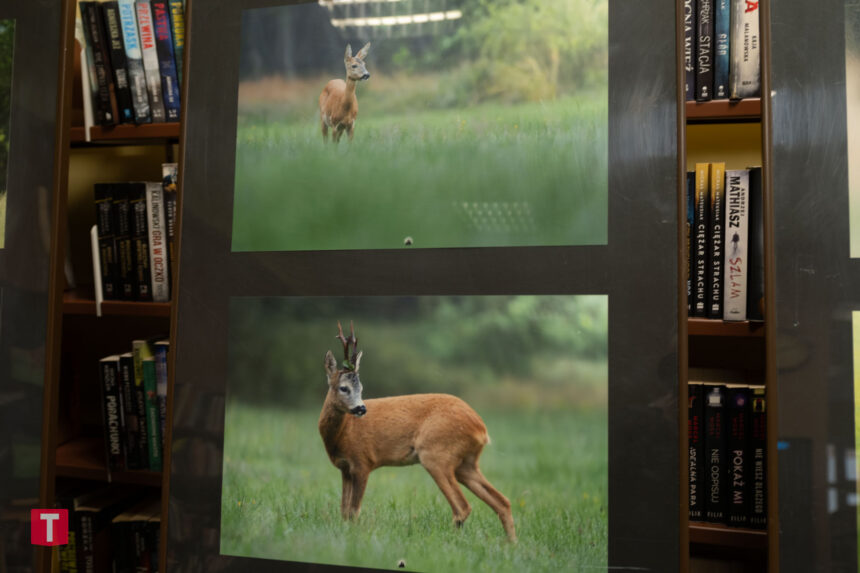 Pierwsza autorska wystawa Marcina Ossowskiego (ZDJĘCIA)