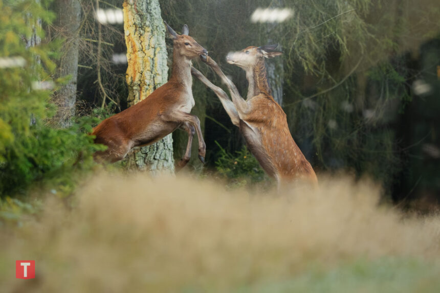 Pierwsza autorska wystawa Marcina Ossowskiego (ZDJĘCIA)