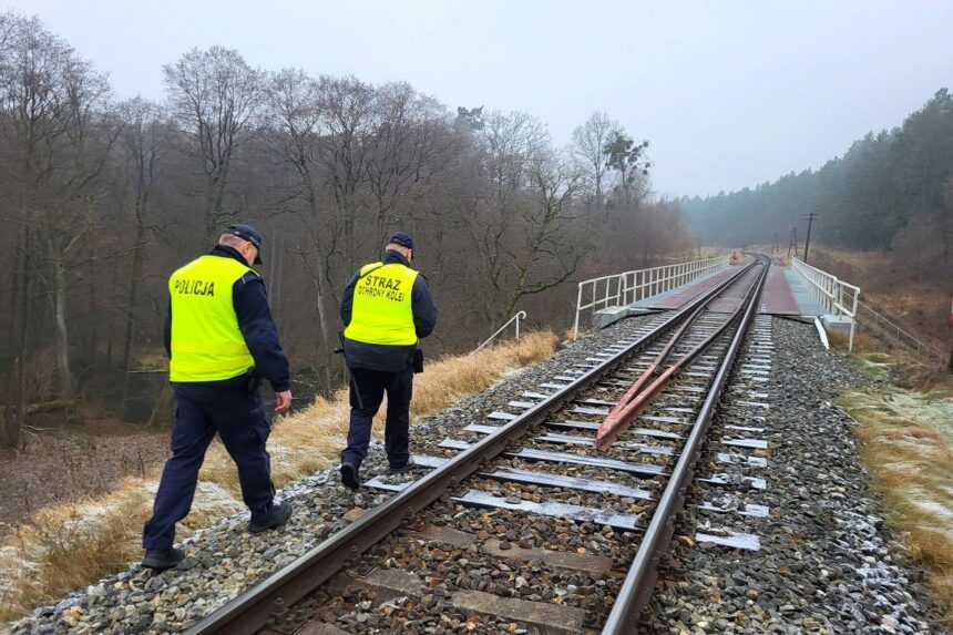 Policyjne działania pn. „TOR”