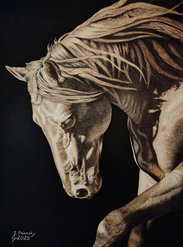 Niezwykła wystawa rysunków i akwareli