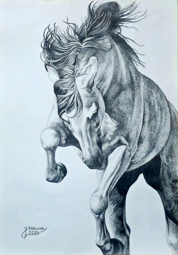 Niezwykła wystawa rysunków i akwareli